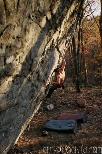 Bloody Knuckles , Photos Travis Milsap