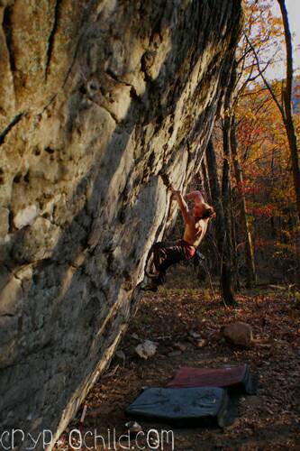 Bloody Knuckles , Photos Travis Milsap