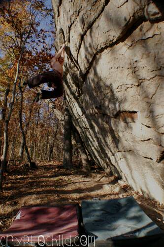 Bloody Knuckles , Photos Travis Milsap