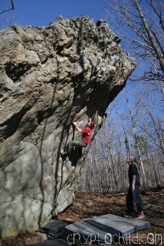 Daily Planet V9 Photo Brett Lowell