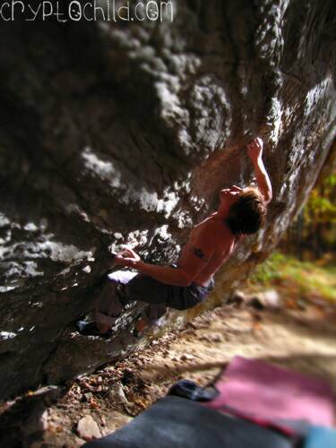 Mike Auldridge, Brass Knuckles V10