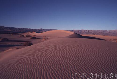 Death Valley, Photo Ally Dorey 