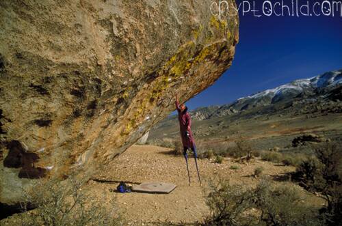 Stilts, Photo Ally Dorey