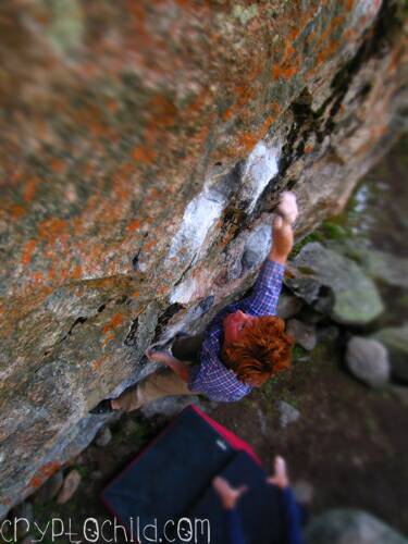 Shane Williams Pink Fink V7