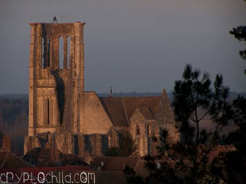 Larchant, Photo Shane Williams