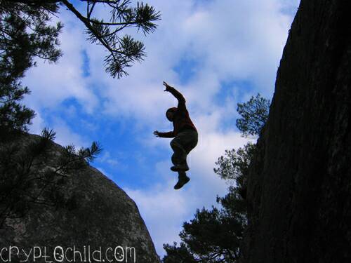 Jump, Photo Shane Williams