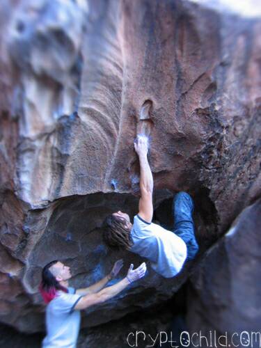 Nate Gold The Feather V11