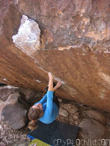 Melissa Lacasse Hobit in a Blender V5