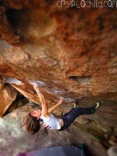 Ally Dorey New Religion V7