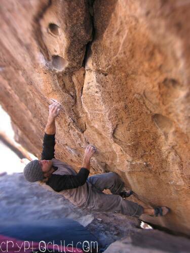 Chris Dye Shroom V9