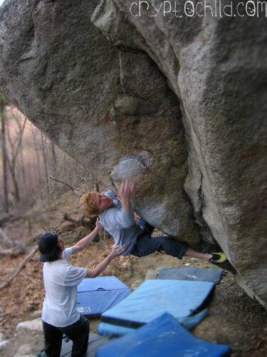 Matt Bosley, Bizmark V10, Gunks