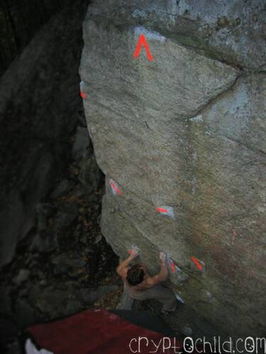 Mike Auldridge, Taped, Gunks