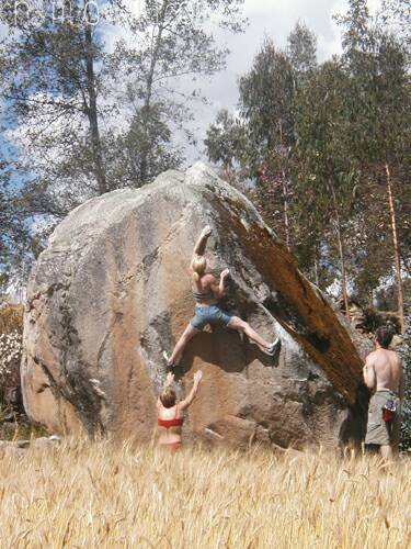 Ally Dorey Wheat Feild Arete V7