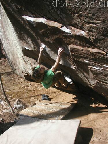 Dan Chancellor Turkey Jerky V7