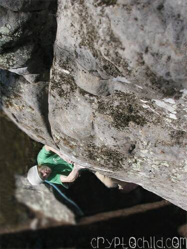 Dan Chancellor Turkey Jerky V7