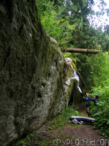 Andrew Boyd, Paradise Valley Dyno V.8